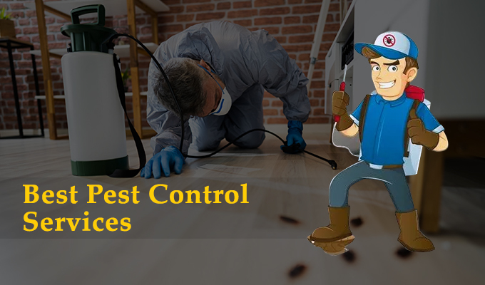 Why Do You Need Pest Control Service