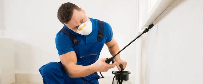 Same Day and Emergency Pest Control Services in Brunswick North